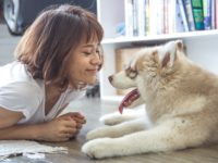 Bringing a Pet Home for the First Time: Things to Know