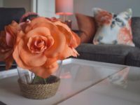 Best Tips for Your Next Home Decorating Project