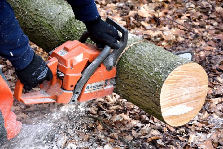 Top Tips To Easily Choose The Ideal Chainsaw For Hardwood