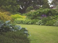 4 Simple Ways to Give Your Garden a Fresh Look