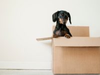 Moving Home? Here’s What You Need to Think About