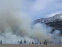 4 Things You Should Know About Wildfire Damage