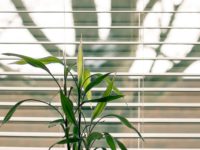 What to Consider When Choosing Smart Home Window Blinds