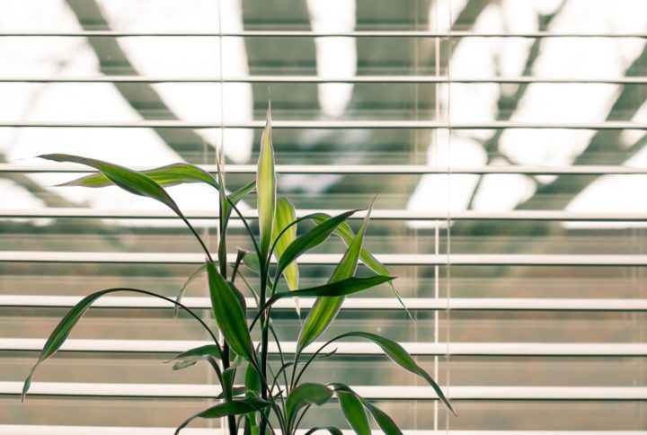 What to Consider When Choosing Smart Home Window Blinds