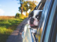 6 Ways to Stay Entertained on a Long Car Journey