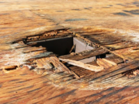 What’s The Roof Replacement Process When Repairing Roof Rot?