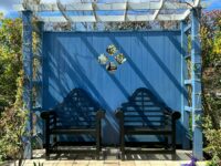 Louvered vs. Traditional Pergolas: Differences Explained
