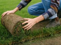 Breaking Down Sod Pricing Per Square Foot: A Detailed Analysis