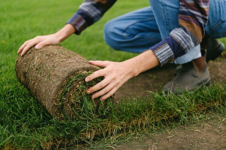 Breaking Down Sod Pricing Per Square Foot: A Detailed Analysis