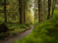 Exploring Snohomish: A Guide to Local Parks and Recreation