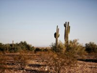 Moving to Arizona: your 9-Step Escape Plan to Start Fresh