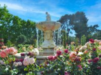 4 Simple Ways to Update Your Garden & Make it More Stylish