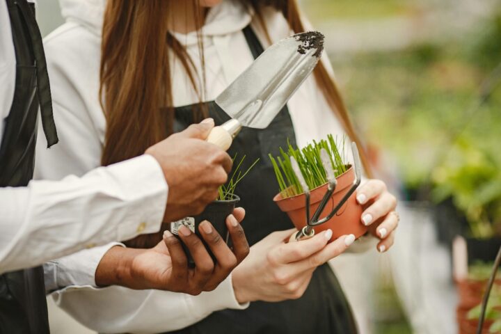 Creating a Garden Sanctuary