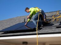 Are Pigeons Damaging Your Solar Panels? Here’s What to Do