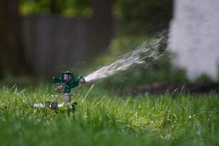 Bringing Outdoor Conservation Habits Home: Simple Ways to Save Water