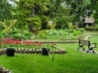 How To Create A Low-Maintenance Garden