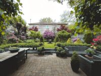 Backyard Gardening Mistakes That Cost You Time and Money