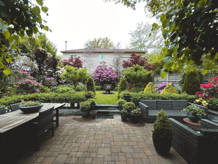 Backyard Gardening Mistakes That Cost You Time and Money