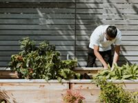 Essential Gear for Your Home Garden Adventure