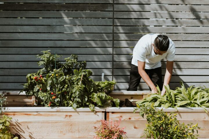 Essential Gear for Your Home Garden Adventure