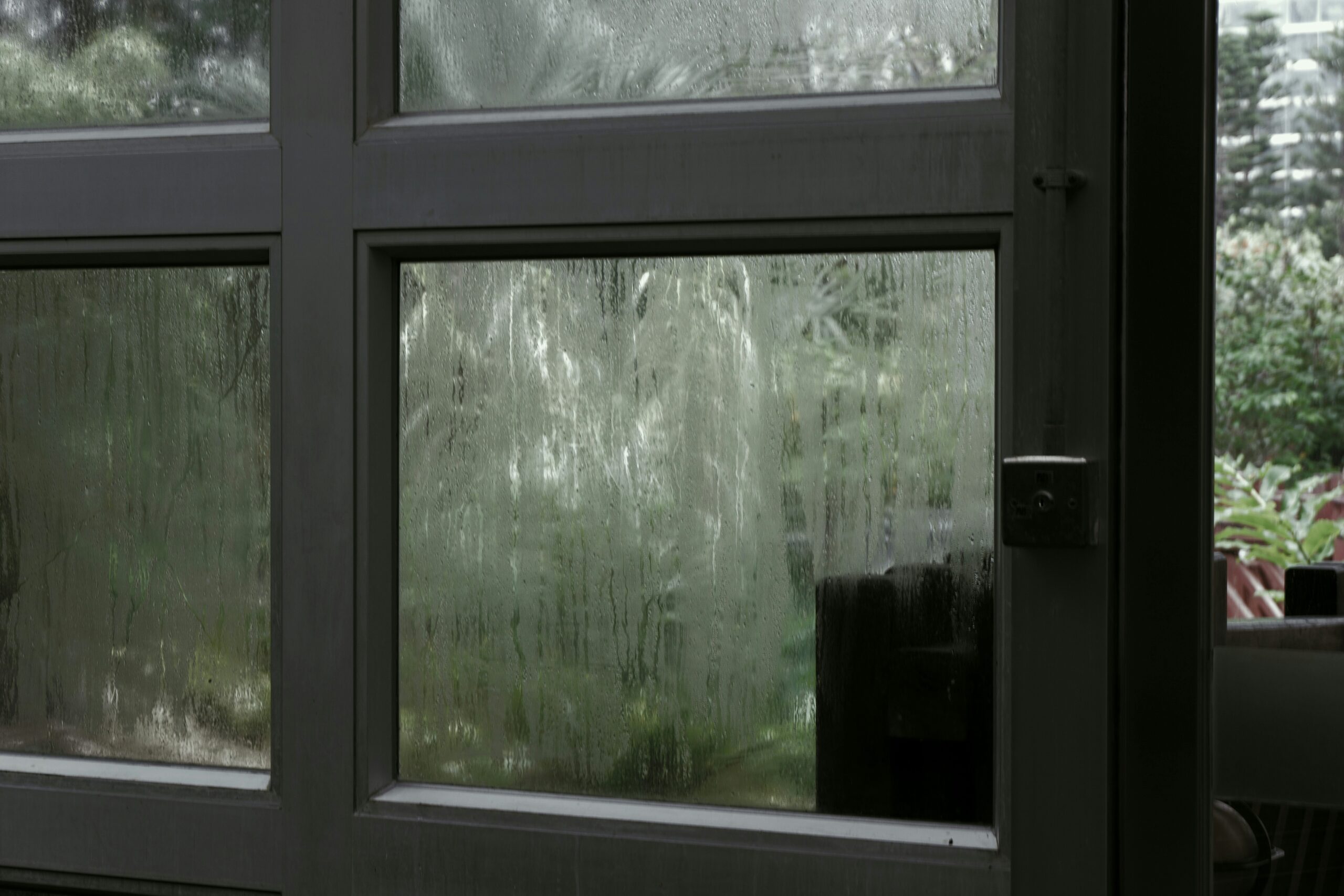 Little Humidity Common Home Humidity Problems and How to Fix Them - At Home in the Future