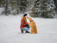 Keeping Pets Safe During Your Outdoor Adventures