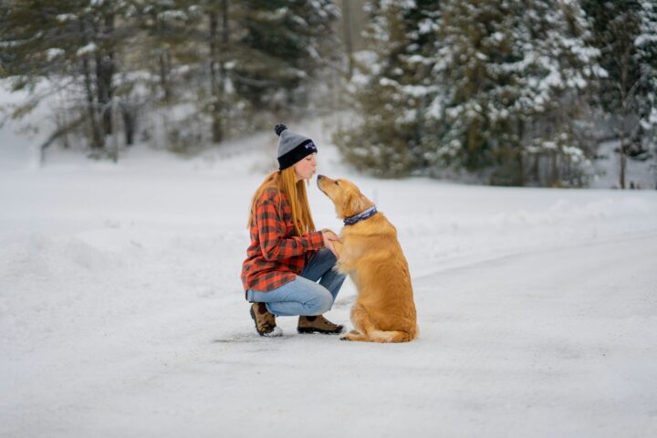 Keeping Pets Safe During Your Outdoor Adventures