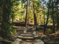 Making the Most of Your Outdoor Space for Adventure