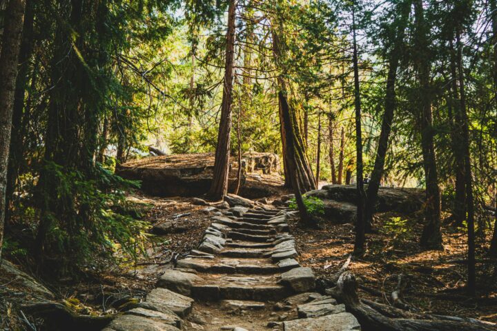 Making the Most of Your Outdoor Space for Adventure