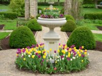 Smart Landscaping Choices for a Sustainable Home