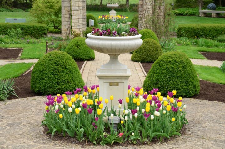 Smart Landscaping Choices for a Sustainable Home