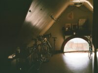 Eliminating Structural Pests: A Guide to Attic Rat Removal