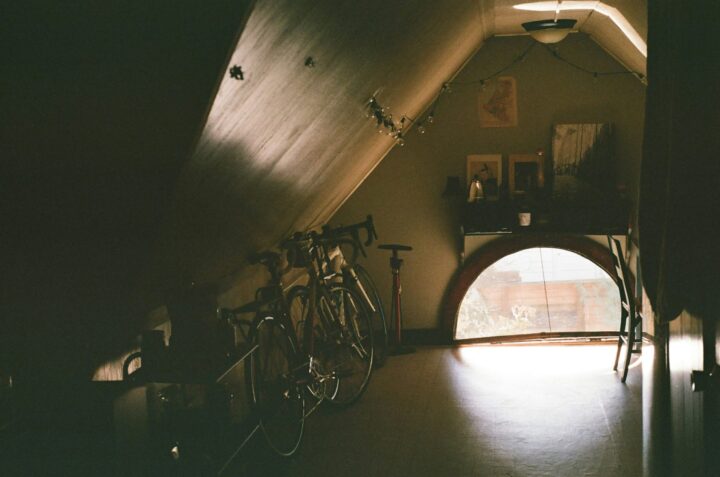 Eliminating Structural Pests: A Guide to Attic Rat Removal