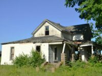 The True Cost of Neglecting Overgrown Property