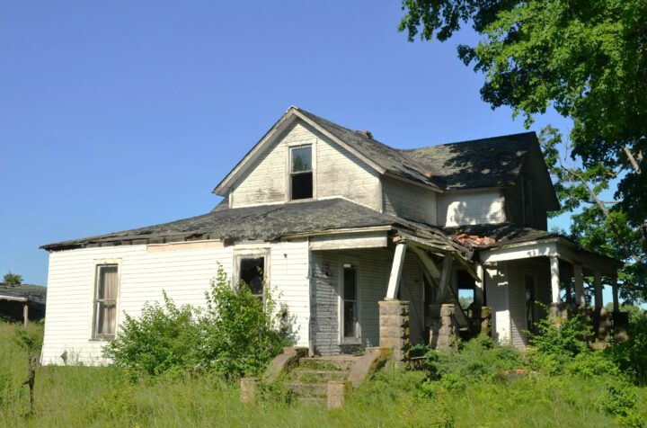 The True Cost of Neglecting Overgrown Property